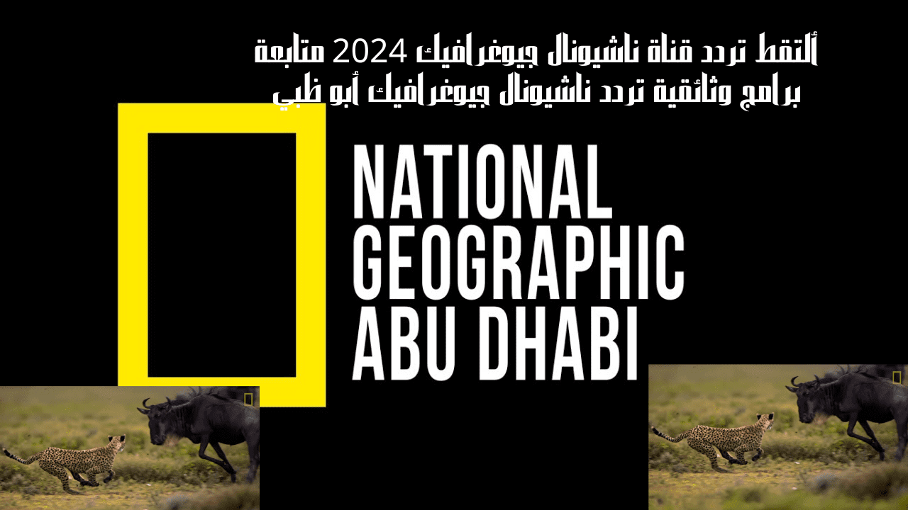 ألتقط تردد قناة ناشيونال جيوغرافيك 2024 متابعة برامج وثائقية تردد ناشيونال جيوغرافيك أبو ظبي