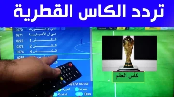 تغطية 24 ساعة.. تردد قناة الكأس القطرية 2024 ALKASS على النايل سات لمتابعة كأس آسيا