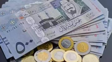 تعرف على سعر الريال السعودي مقابل العملات العربية الدرهم المغربي والجنيه المصري اليوم الأحد 31-3-2024