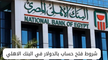 تعرف على شروط فتح حساب بالدولار في البنك الأهلي المصري 2024