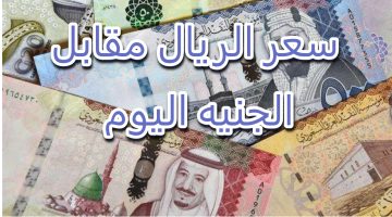 “لحظة بلحظة أسعار العملات” كم سعر الريال السعودي اليوم في السوق السوداء والبنوك والعملات الأجنبية