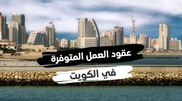 عقود عمل ووظائف بالكويت.. خطوات الحصول على تأشيرة الكويت الشروط والأوراق المطلوبه 2024