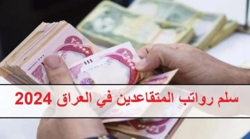 وزارة المالية العراقية توضح سلم رواتب المتقاعدين الجديد 2024 وطريقة الاستعلام عن الرواتب بعد الزيادة